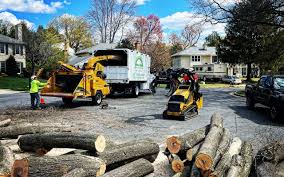 Panguitch, UT  Tree Services Company